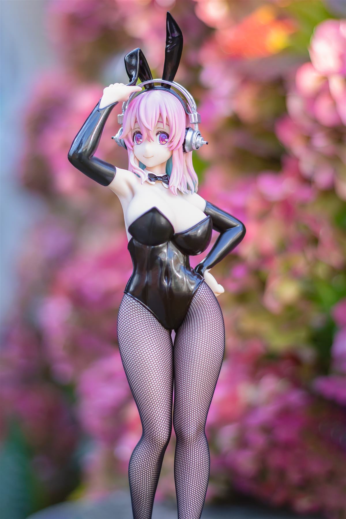 photo of Sonico