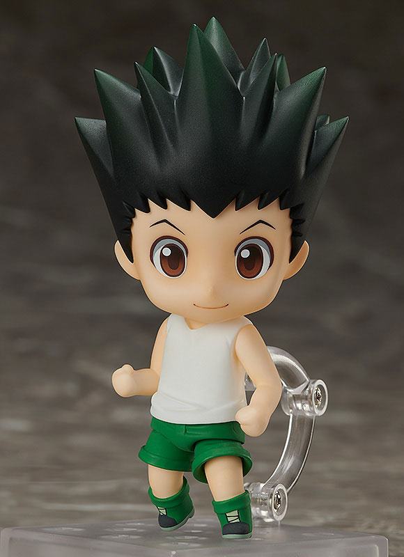 photo of Gon Freecss