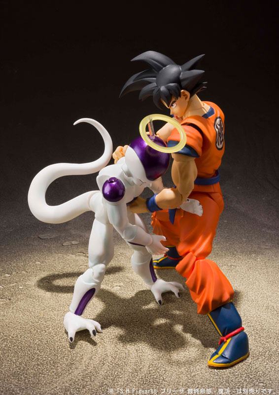 Son Goku  Bandai Spirits by duncecap