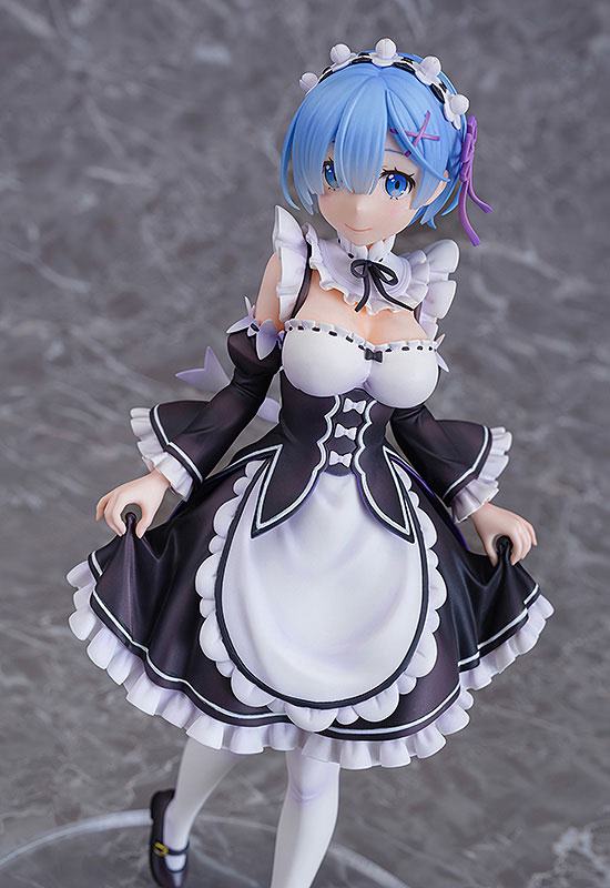 Rem  Wing by duncecap