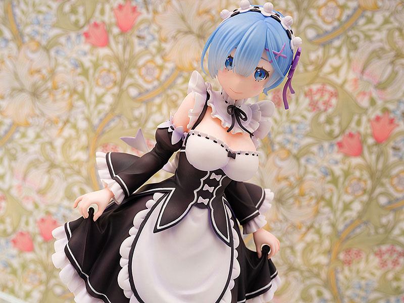 Rem  Wing by duncecap