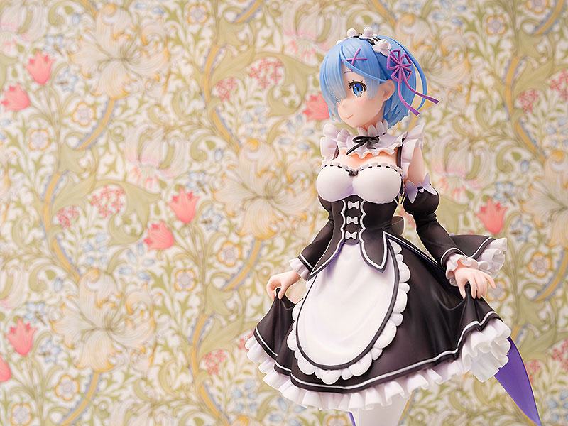 Rem  Wing by duncecap