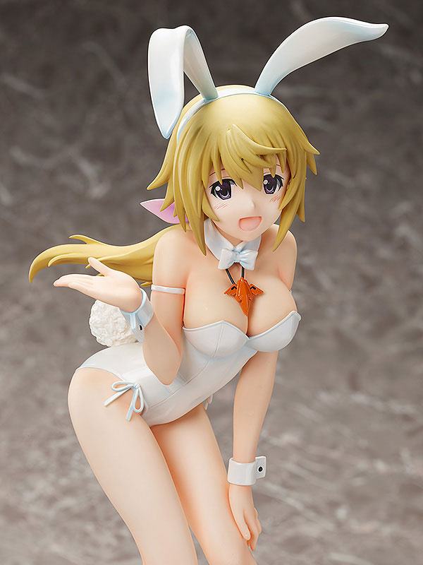 photo of Charlotte Dunois