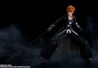 photo of Ichigo Kurosaki