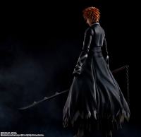 photo of Ichigo Kurosaki