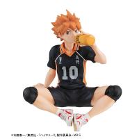 photo of Hinata Shouyou