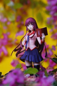 photo of Senjougahara Hitagi