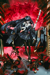 photo of Noshiro